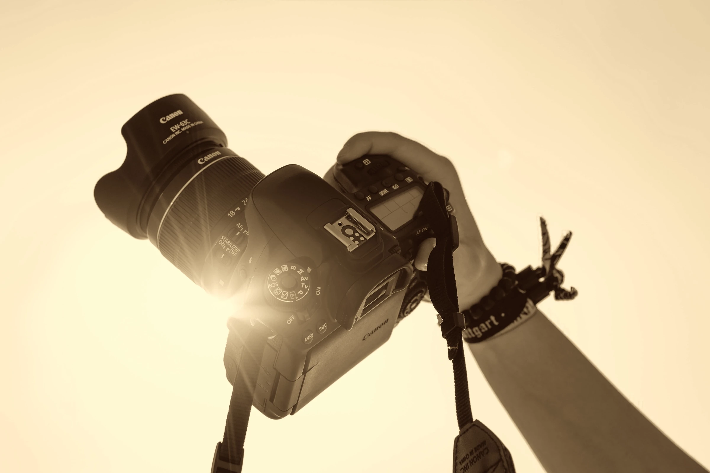 Photos